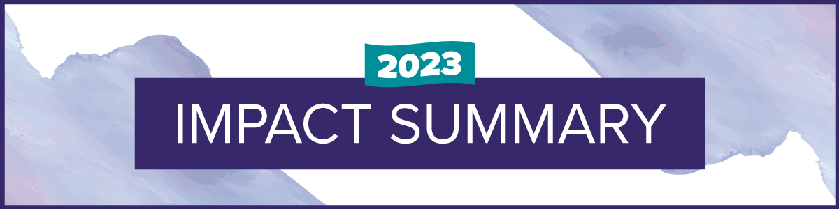 2023 impact summary header